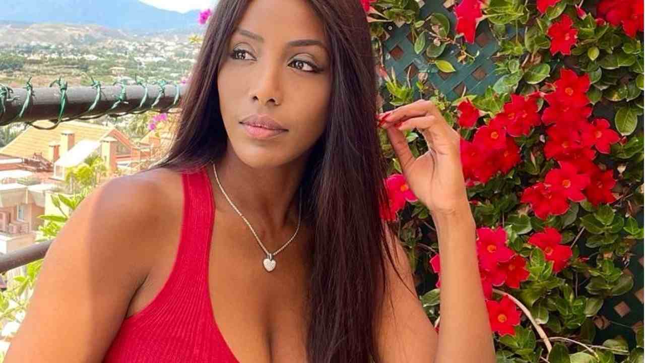 Ainett Stephens seria