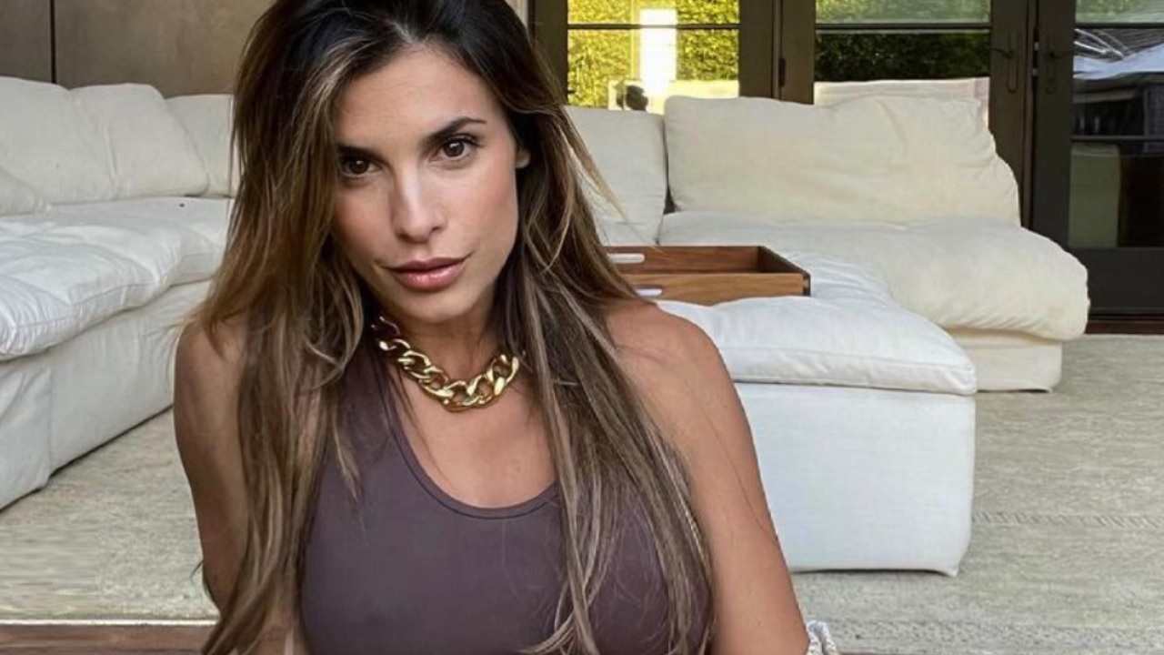 Elisabetta Canalis seria