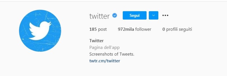 Profilo Twitter su Instagram