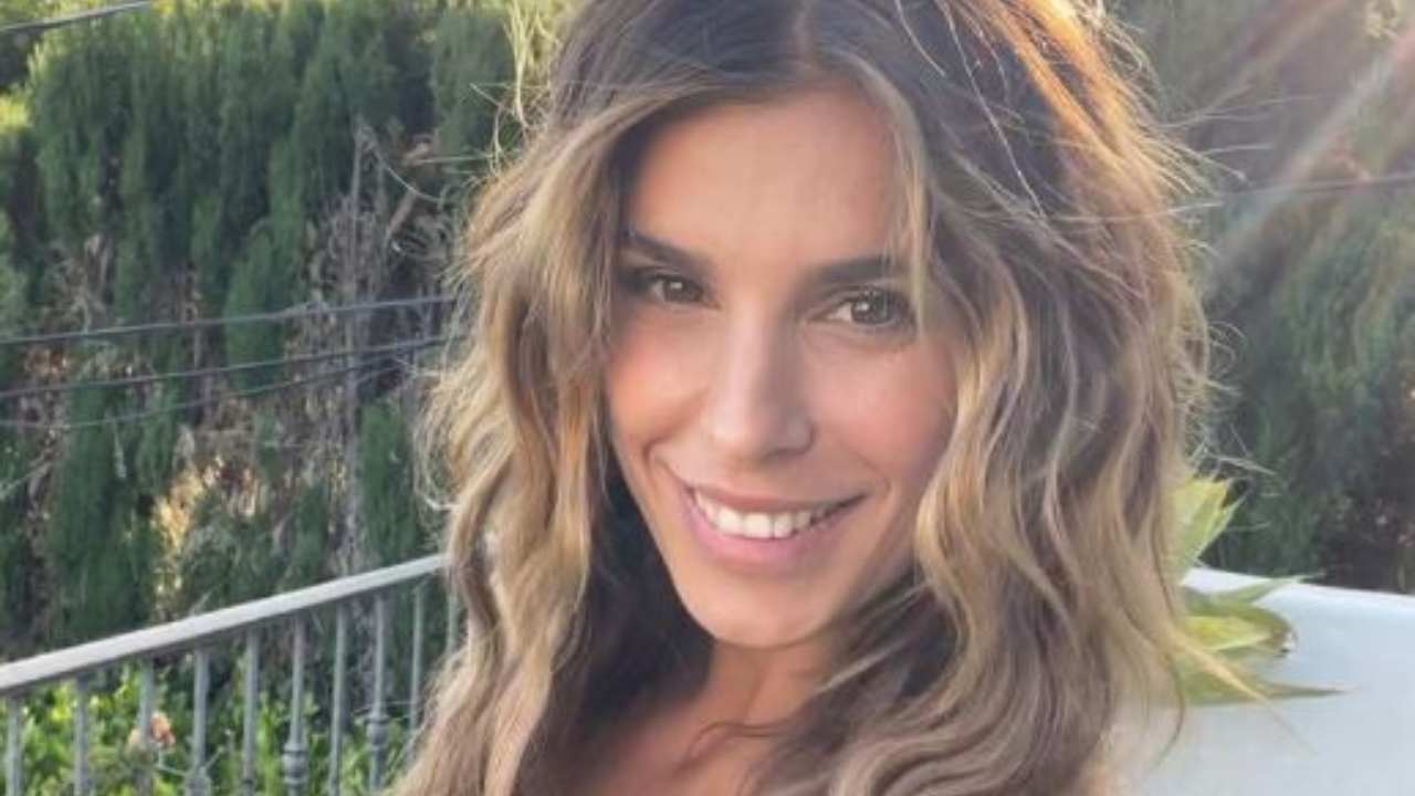 Elisabetta Canalis sorridente
