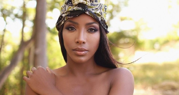 Ainett Stephens seria