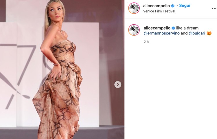 Post Instagram Alice Campello
