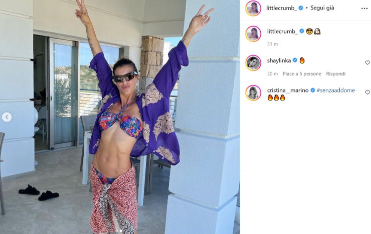 Elisabetta Canalis Bikini addominali