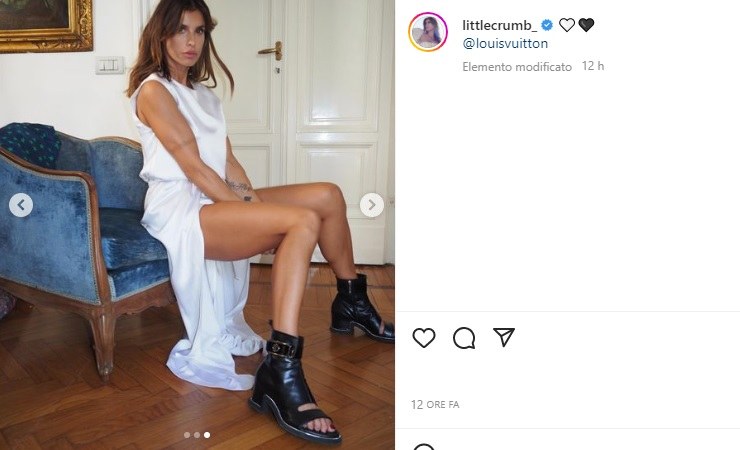 Elisabetta Canalis in posa