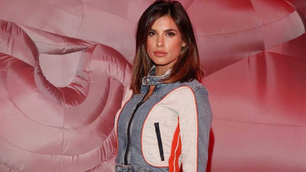 Elisabetta Canalis seria